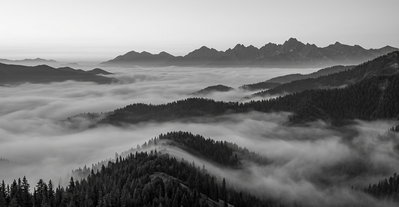 Building a lasting legacy